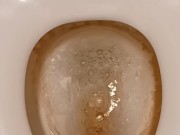 Toilet Pissing 8/16