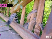 Quella volta che i miei video amatoriali sono finiti su internet 10/16