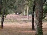 Blowjob outside and cum on butt with nylon  10/16