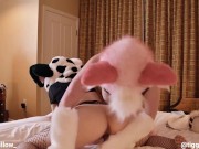 furry Lesbians Hump 16/16