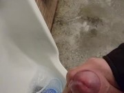 Real risky public solo show in busy vancouver park bathroom by johnholmesjunior with huge cum load
