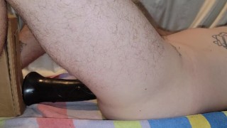 18 in horse cock belly bulge makes me cum - Darmowe seks wideo ...