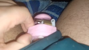 Sean escap artists his sissy cage