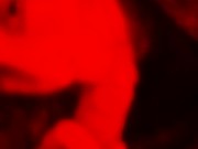 la mejor chupando pija!!! 11/16