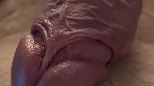 Close-up of my BIG veiny dick!
