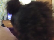 Vegas night's 22 1/16