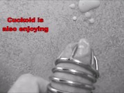 Femdom mistress humiliates slave cuckold with bull 14/16