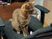 Pussy loves to jump on your fingers .... Piston play 10/16