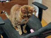 Pussy loves to jump on your fingers .... Piston play 11/16