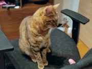 Pussy loves to jump on your fingers .... Piston play 12/16