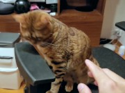 Pussy loves to jump on your fingers .... Piston play 13/16