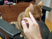 Pussy loves to jump on your fingers .... Piston play 14/16