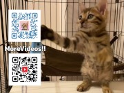 Pussy loves to jump on your fingers .... Piston play 15/16