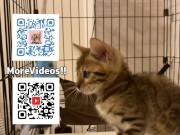 Pussy loves to jump on your fingers .... Piston play 16/16