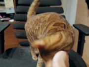 Pussy loves to jump on your fingers .... Piston play 2/16