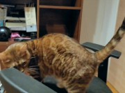 Pussy loves to jump on your fingers .... Piston play 3/16