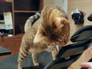 Pussy loves to jump on your fingers .... Piston play 5/16