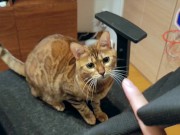 Pussy loves to jump on your fingers .... Piston play 7/16