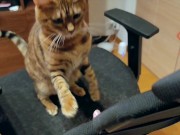 Pussy loves to jump on your fingers .... Piston play 8/16