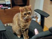 Pussy loves to jump on your fingers .... Piston play 9/16