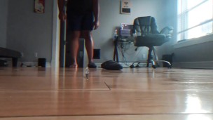 CRUSHED LIKE A BUG 🐛 (MACROPHILIA)