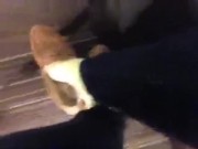 My Feet in class Clip #2 Frieda Ann Foot Fetish 10/16