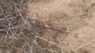 Naked Hike and then Jacking Off next to Highway!!
