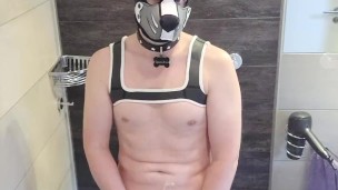 Puppy pisst in der Dusche
