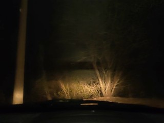 Sex with mother's friend in a car