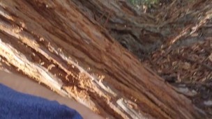 Trail jerk teaser