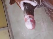 بنت الباطرونة تتهزو فالبرتوش ديال مها وهي تتوحوح بكثر الزكاة🇲🇦👀 1/16