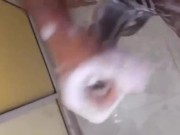 بنت الباطرونة تتهزو فالبرتوش ديال مها وهي تتوحوح بكثر الزكاة🇲🇦👀 12/16