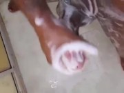 بنت الباطرونة تتهزو فالبرتوش ديال مها وهي تتوحوح بكثر الزكاة🇲🇦👀 3/16