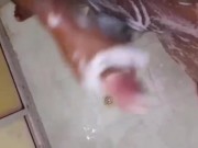 بنت الباطرونة تتهزو فالبرتوش ديال مها وهي تتوحوح بكثر الزكاة🇲🇦👀 4/16