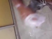 بنت الباطرونة تتهزو فالبرتوش ديال مها وهي تتوحوح بكثر الزكاة🇲🇦👀 7/16