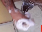 سكس مغربي ساخن 🔥 8/16