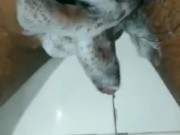 Desi boy showing black dick in bath 2/16