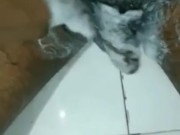 Desi boy showing black dick in bath 7/16