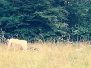 Piss compilation 11/16