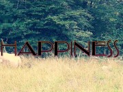 Piss compilation 12/16