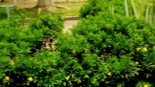 Shameless girl doing pee in public garden