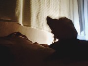 Verga super dura y corrida increíble entre las sombras.