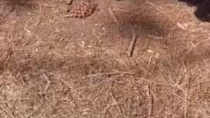 HOMEMADE FMM THREESOME with my HUSBAND and his BEST FRIEND!!