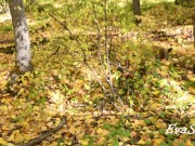 stuck between trees and got fucked 2/16