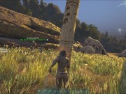 Girl hits big tree 10/16