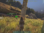 Girl hits big tree 12/16