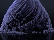 freaky, kinky, sexy, goddess, super freaky girl, freaky girl, mistress, femdom, slave, submissive, l 3/16