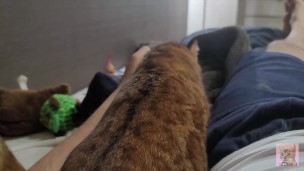 When in the morning, a lovely kitty will give you a massage ... . Romantic kitty