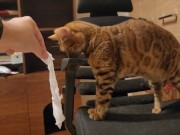 You don't need any special technique to make your pussy happy. We will teach you how to make your ki