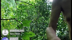 Forest Fun!